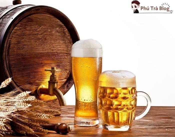 Lúa mạch và mạch nha - 2 thành phần chính của bia chứa rất nhiều protein